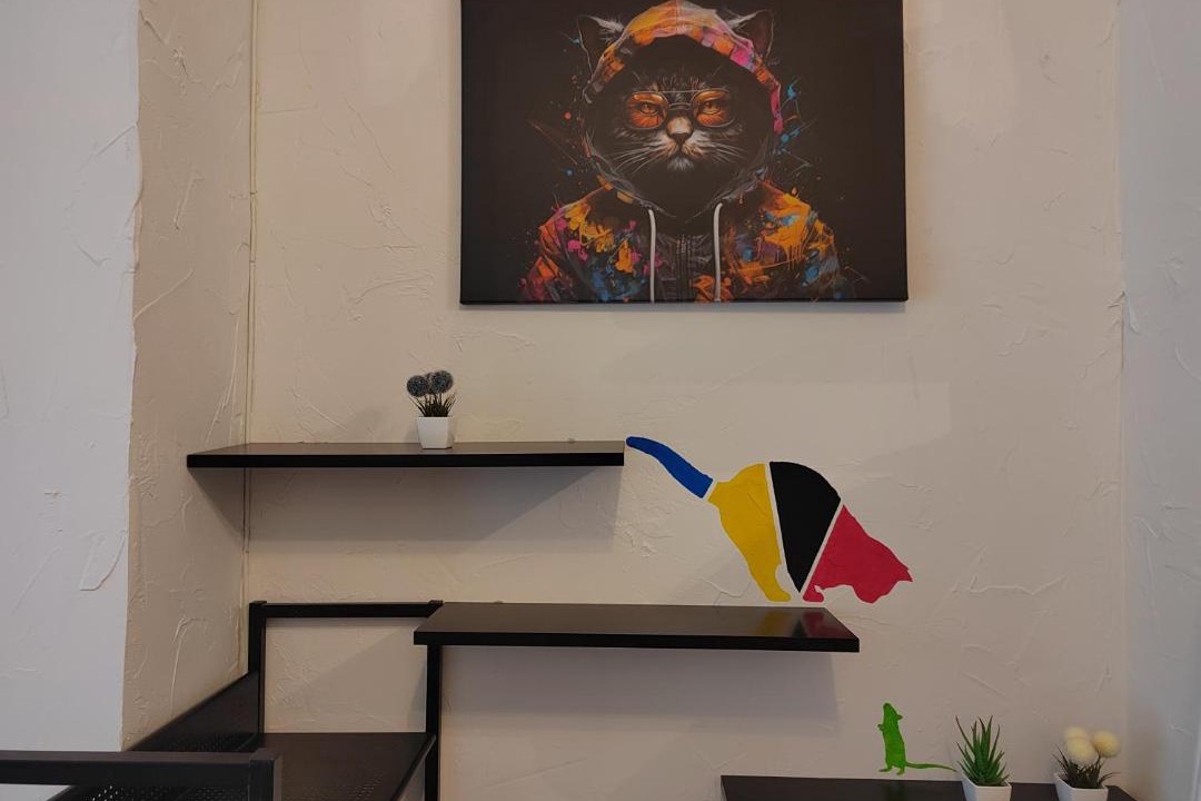 Photo of Others in Auch