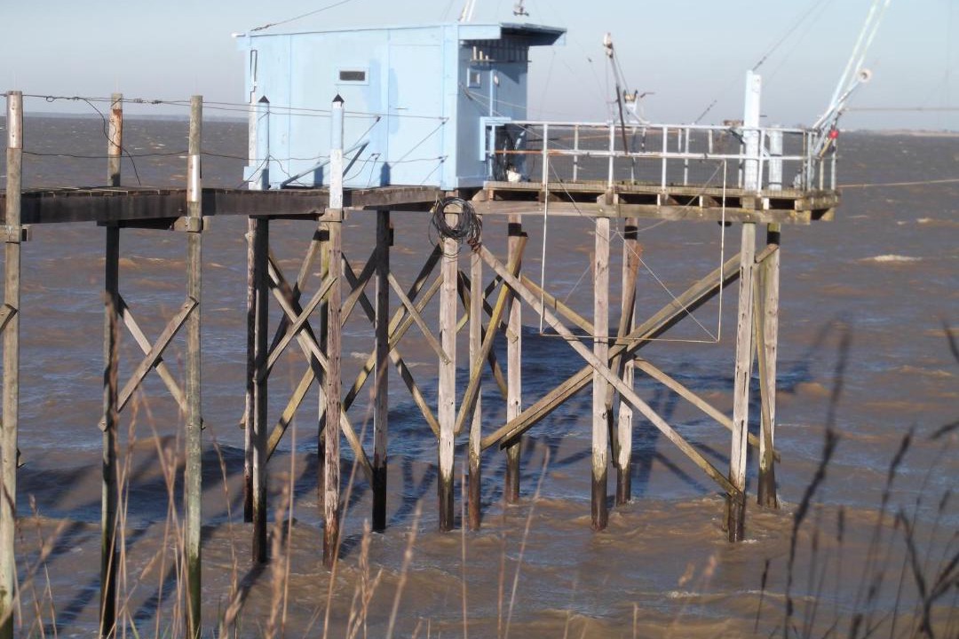 Photo of Others in Quartier de l'Hippodrome