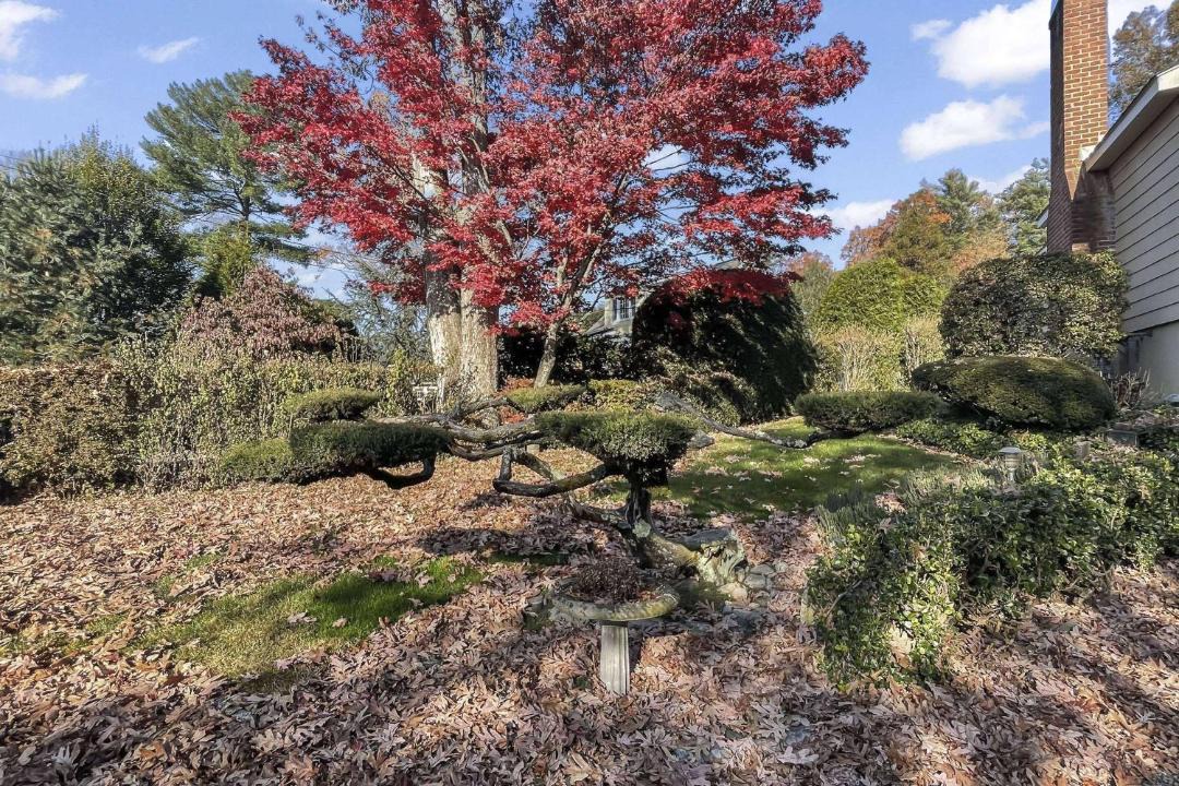 Photo of Others in Westport