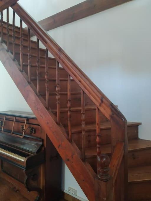 Photo of Others in Plesidy