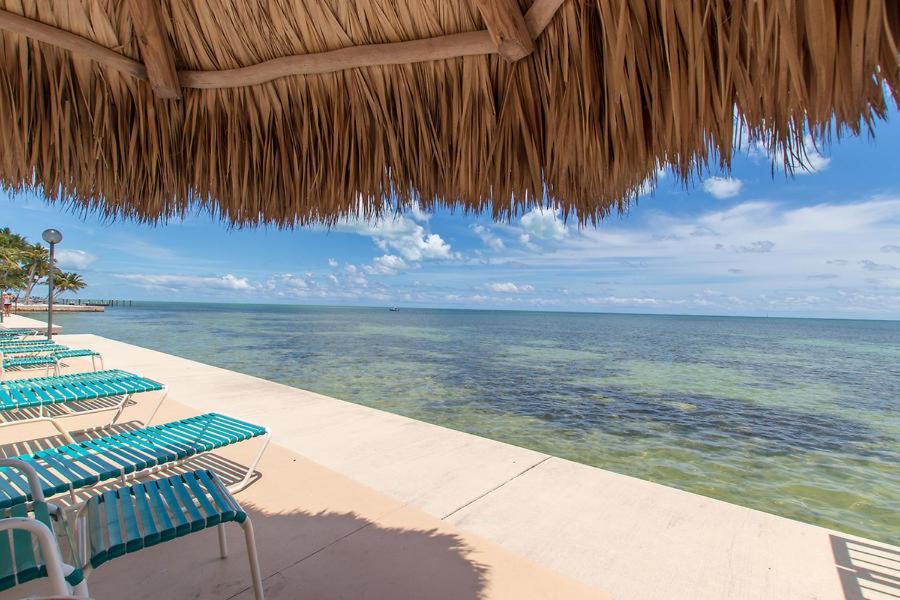 Photo of Others in Islamorada