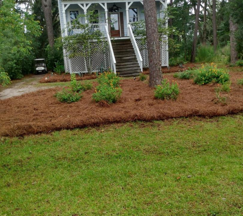 Photo of Buildings in Daufuskie Island