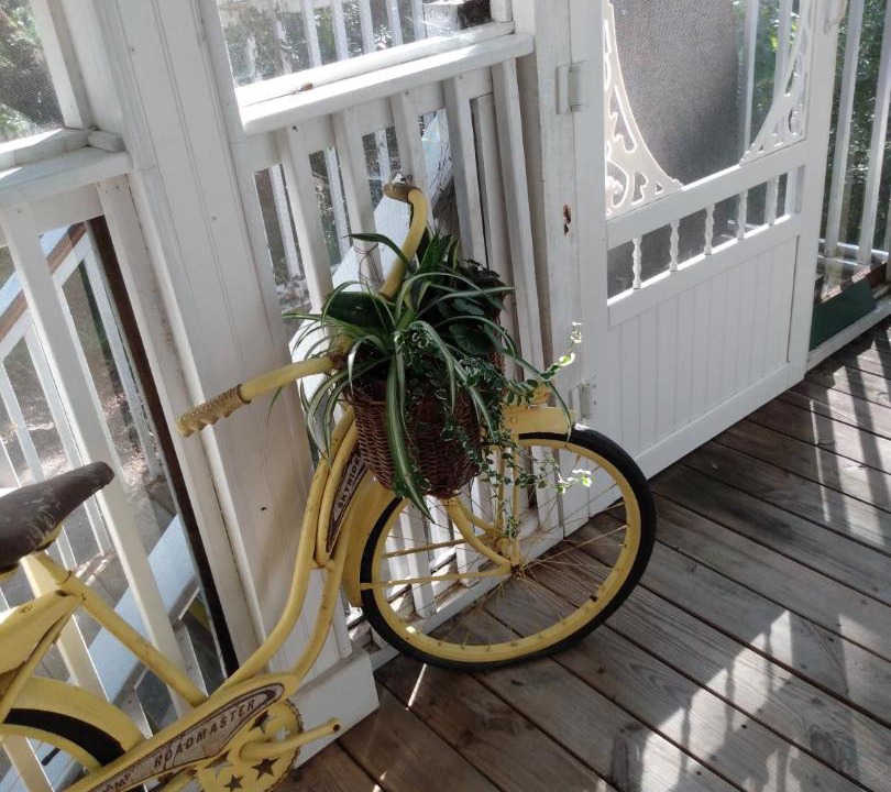 Photo of Others in Daufuskie Island
