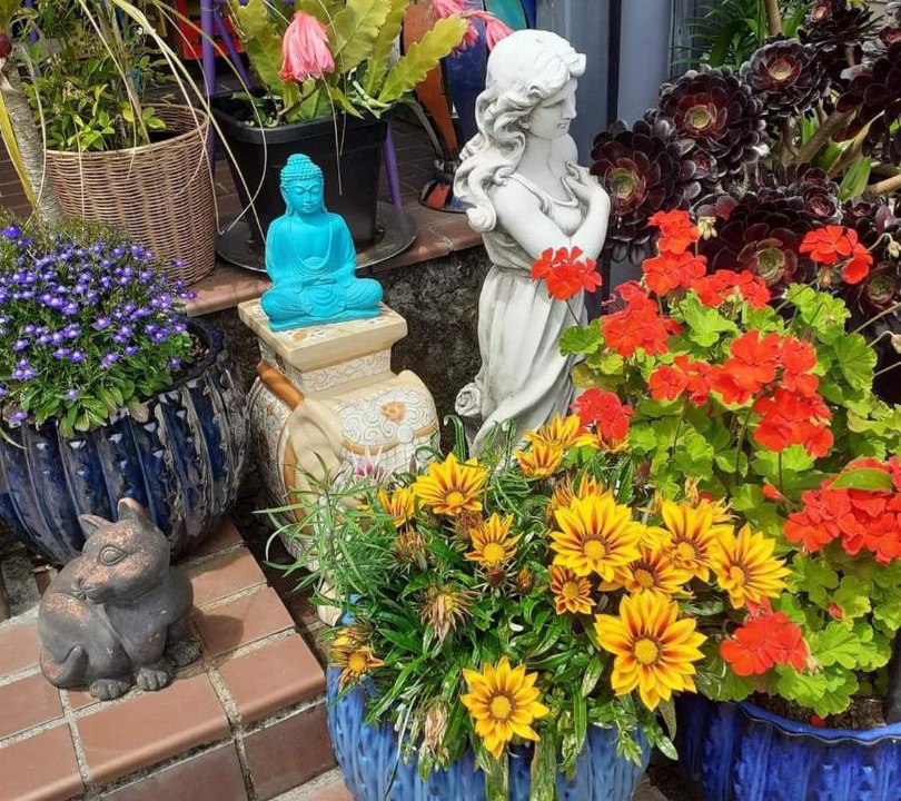 Photo of Others in Stokes Valley