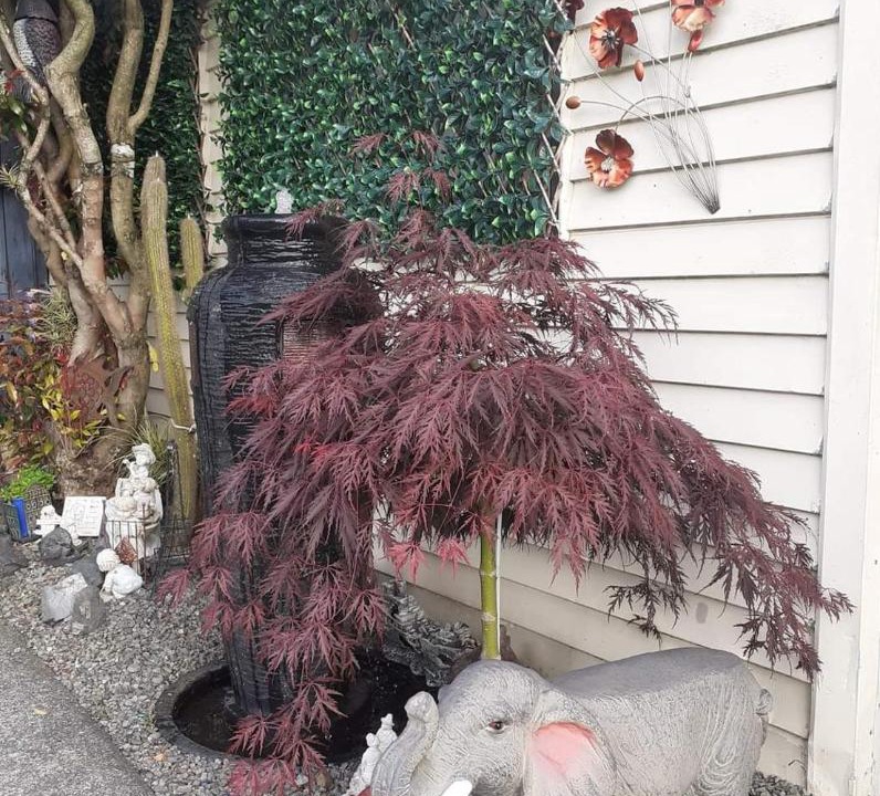 Photo of Others in Stokes Valley