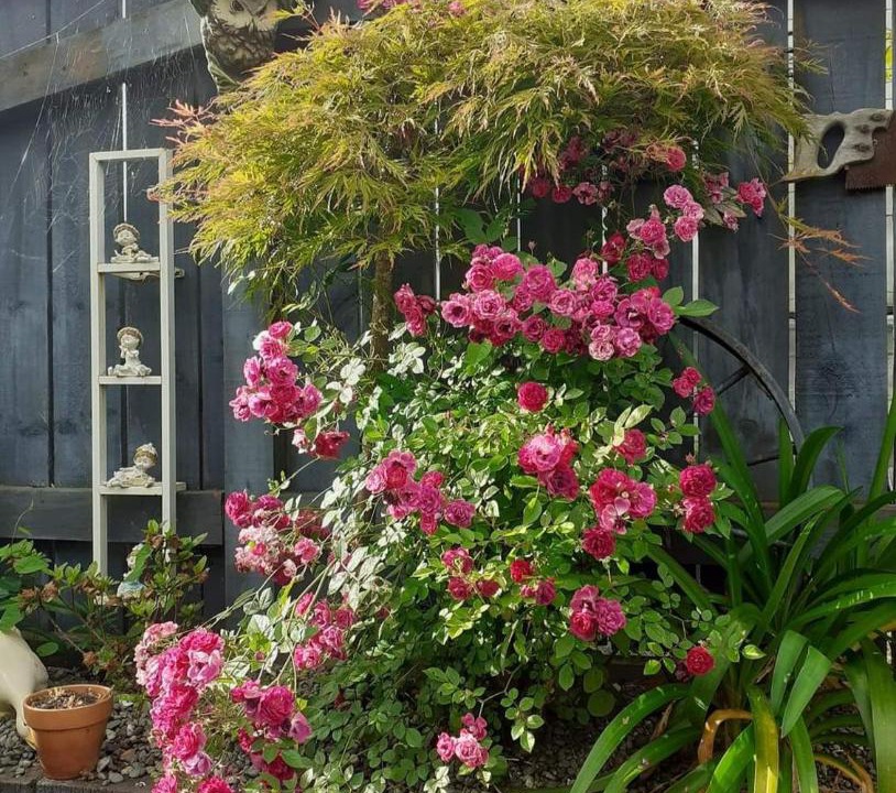 Photo of Others in Stokes Valley