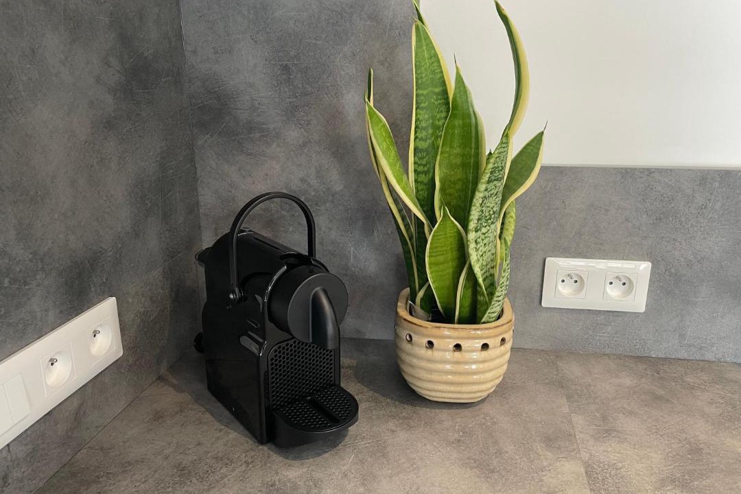 Photo of Others in Duppigheim