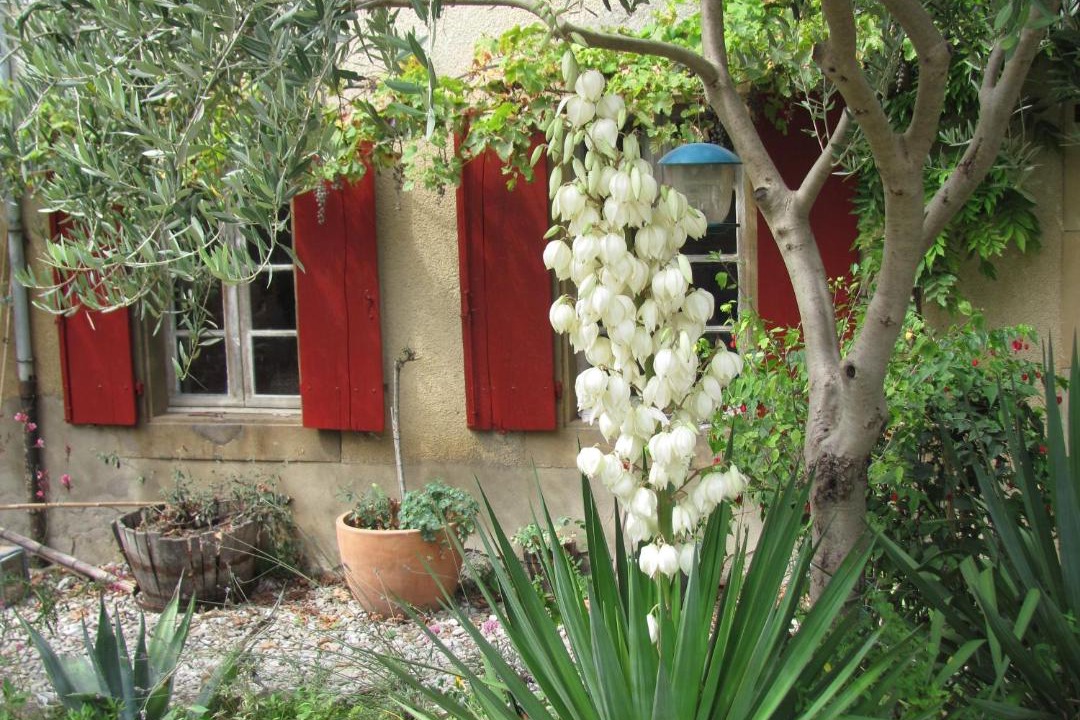 Photo of Others in Pauligne