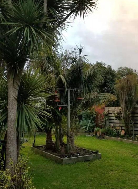 Photo of Others in Apollo Bay