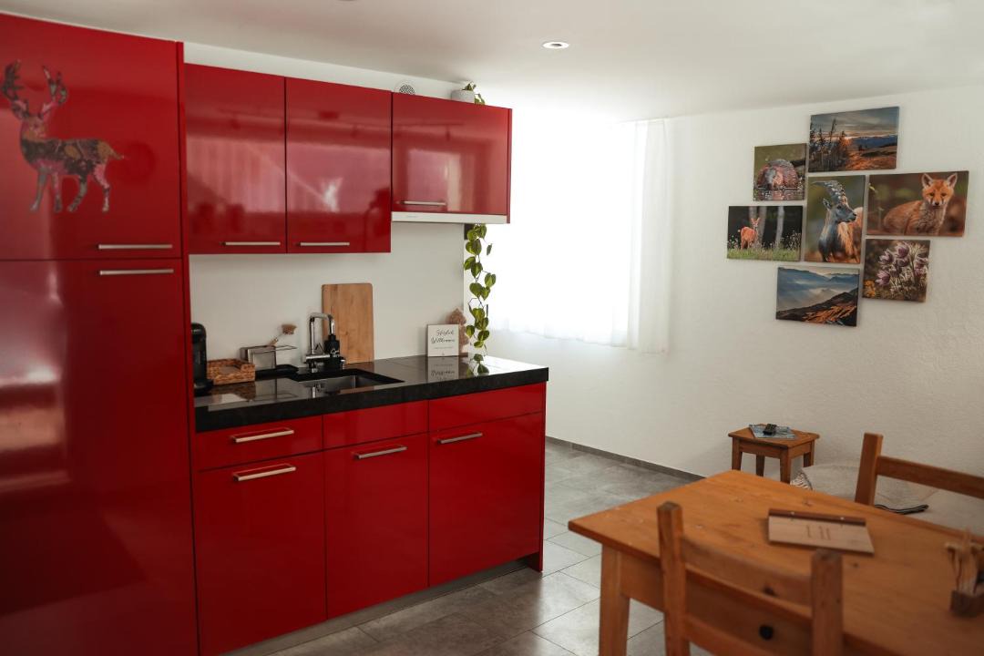 Photo of Kitchen in Malans