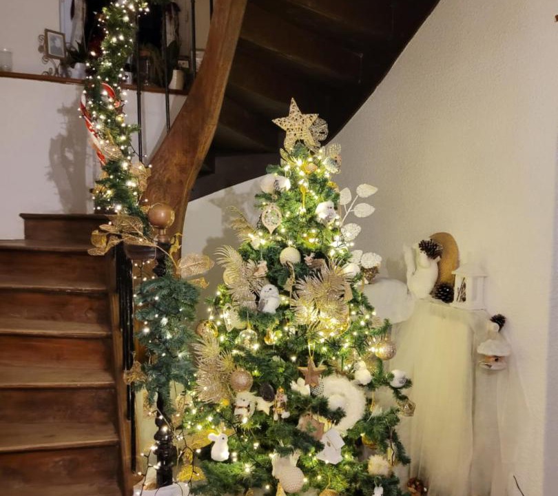 Photo of Others in Monclar-de-Quercy