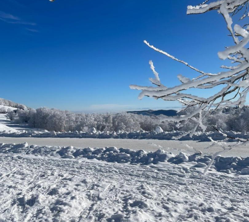 Photo of Others in Ramonchamp