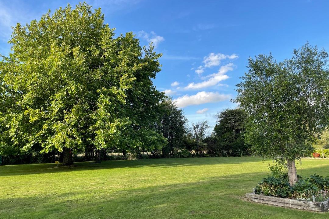 Photo of Others in Tikitere