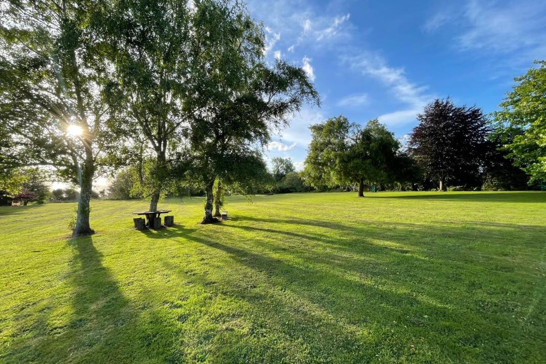 Photo of Others in Tikitere