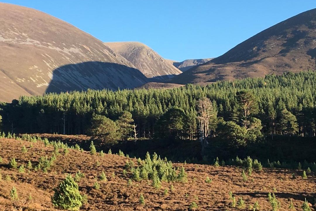 Photo of Others in Kingussie