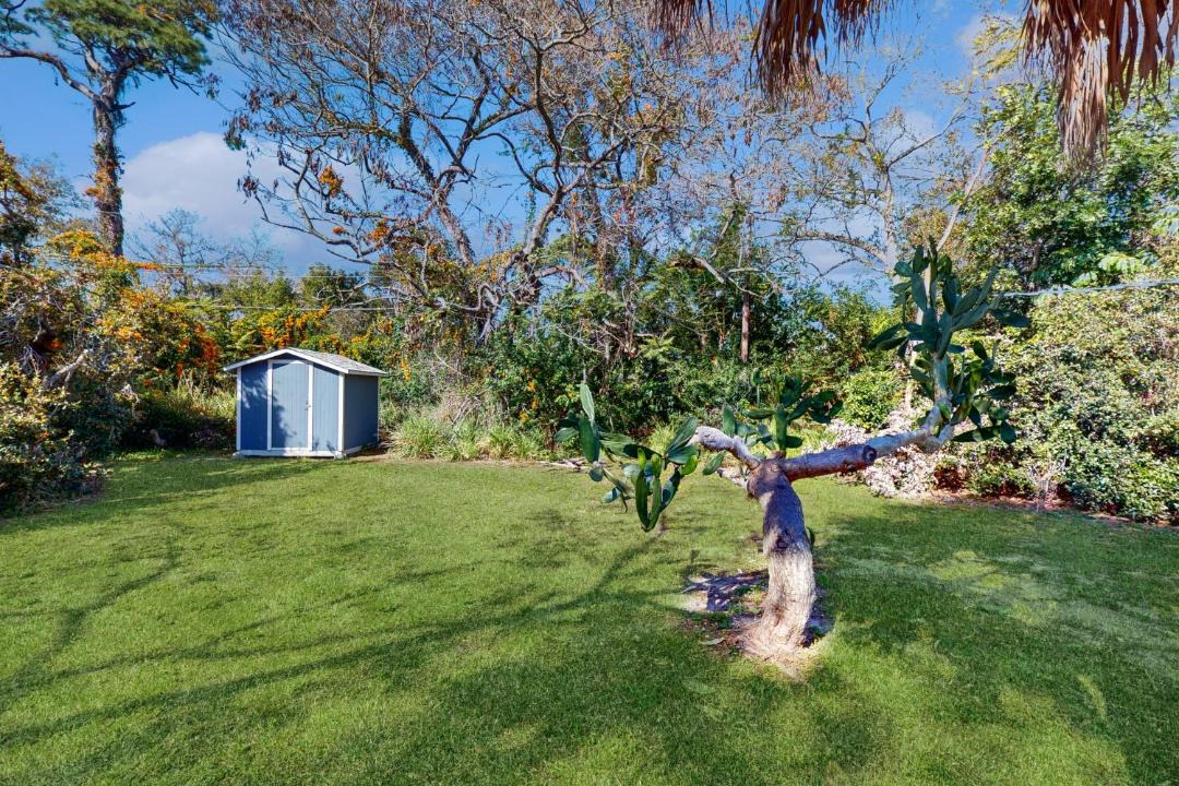 Photo of Others in Alta Vista