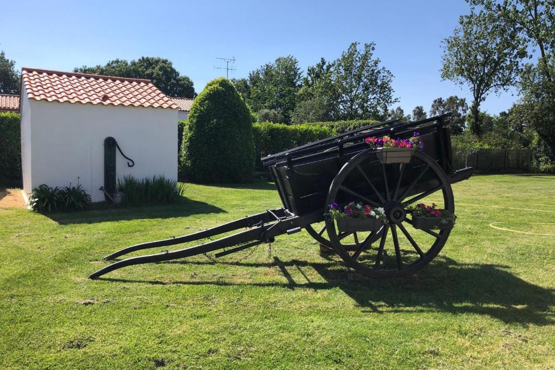Photo of Others in Commequiers