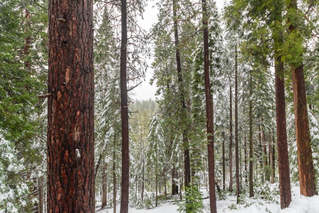 Photo of Others in Arnold