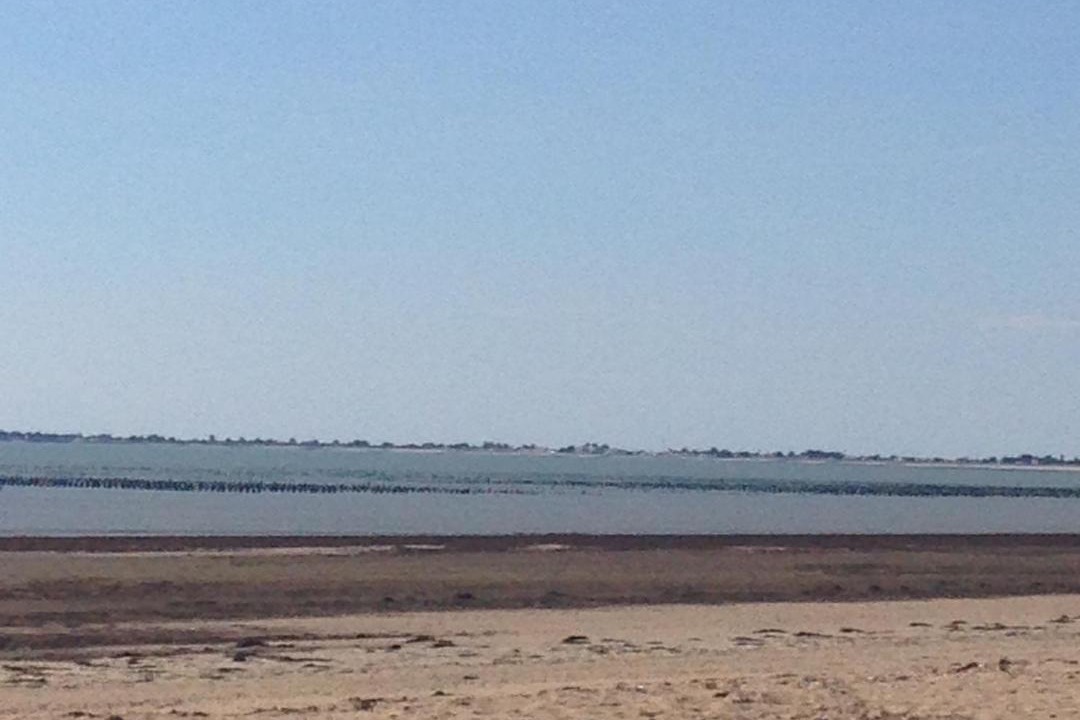 Photo of Others in Barbatre