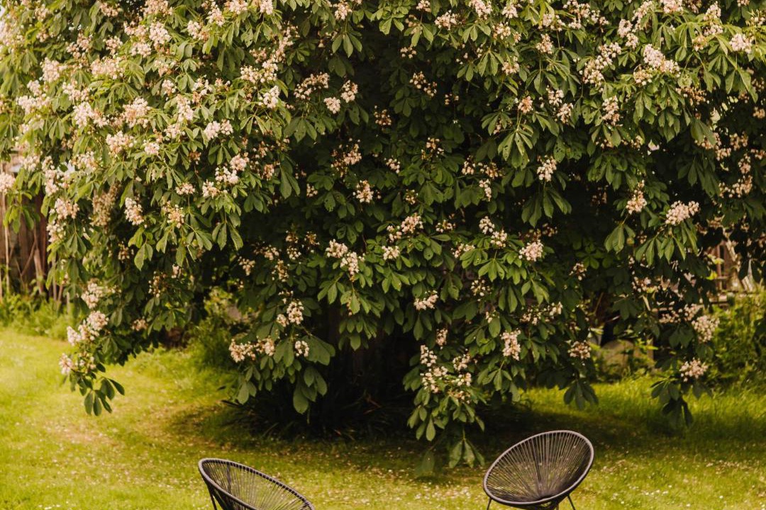 Photo of Others in Saint-M'Herve