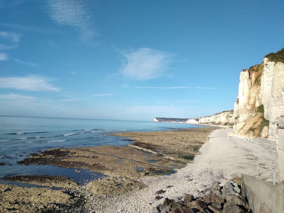 Photo of Others in Yport