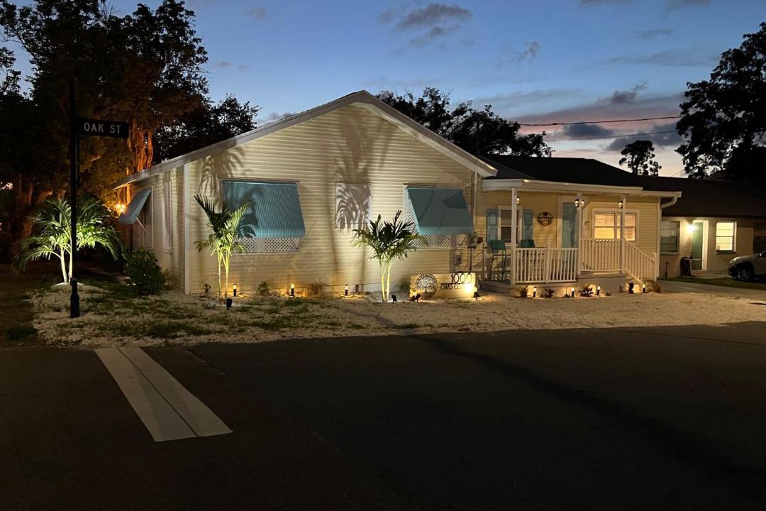 Photo of Others in Dunedin