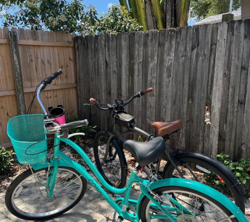 Photo of Others in Dunedin