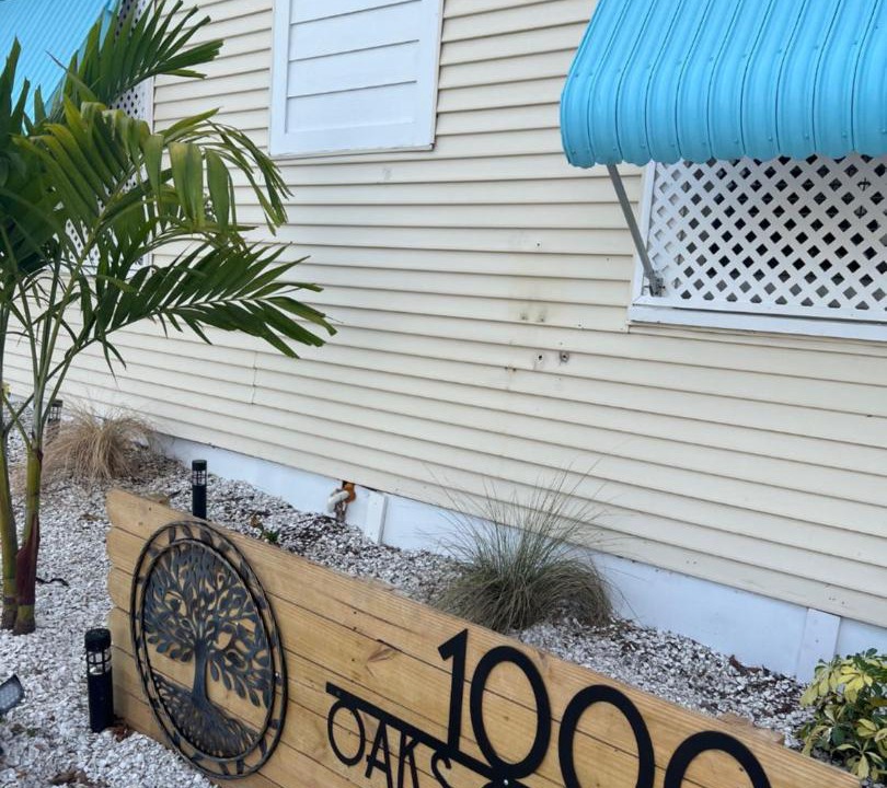 Photo of Others in Dunedin