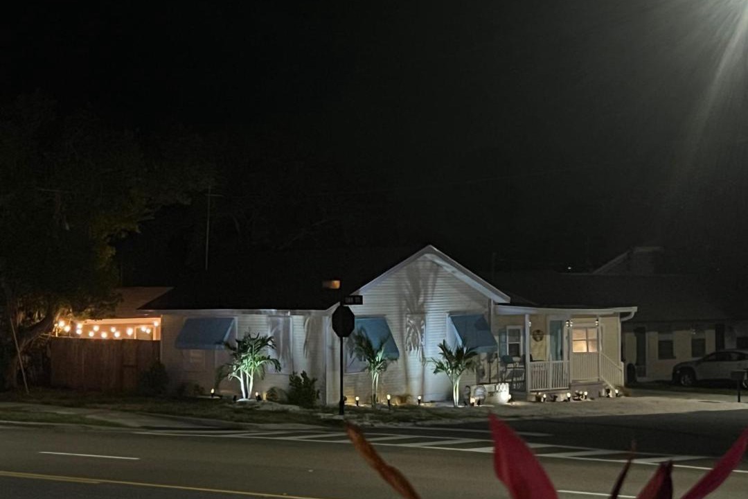 Photo of Others in Dunedin