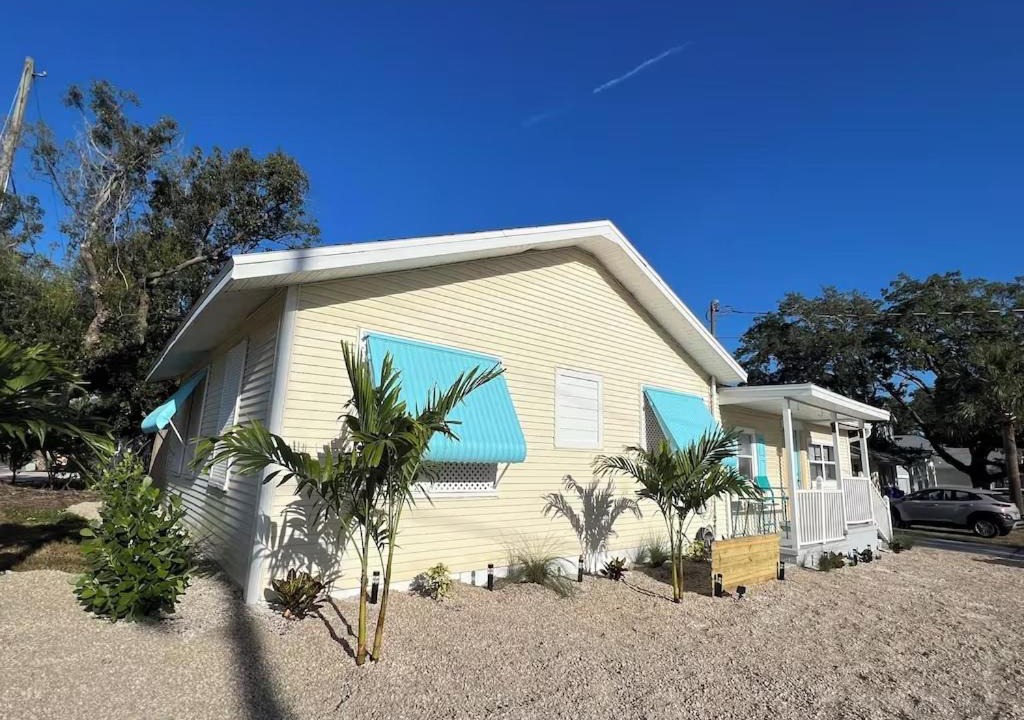 Photo of Others in Dunedin