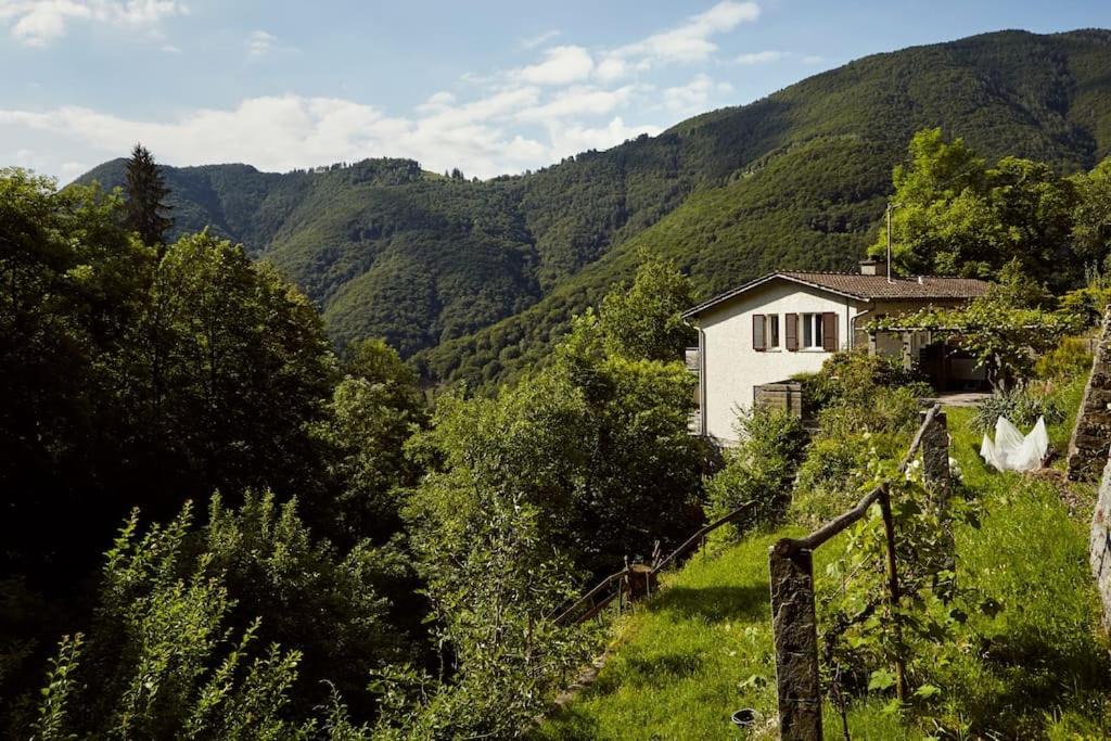 Photo of Others in Isorno