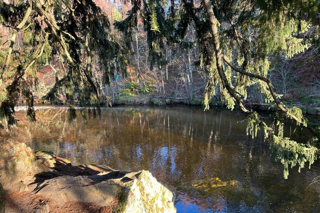 Photo of Others in Kingussie