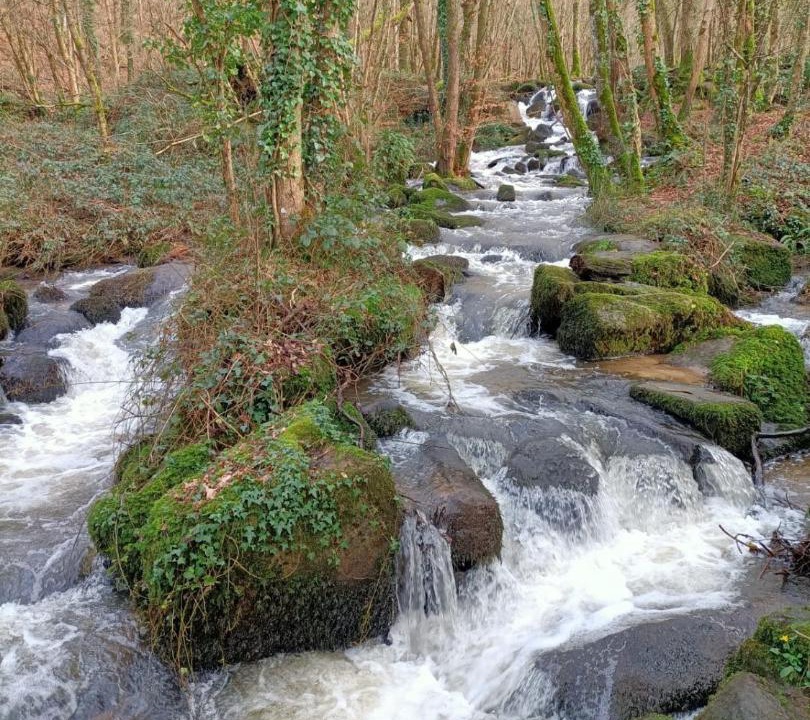 Photo of Others in Vire