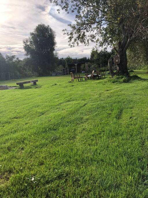 Photo of Others in Saint-Omer