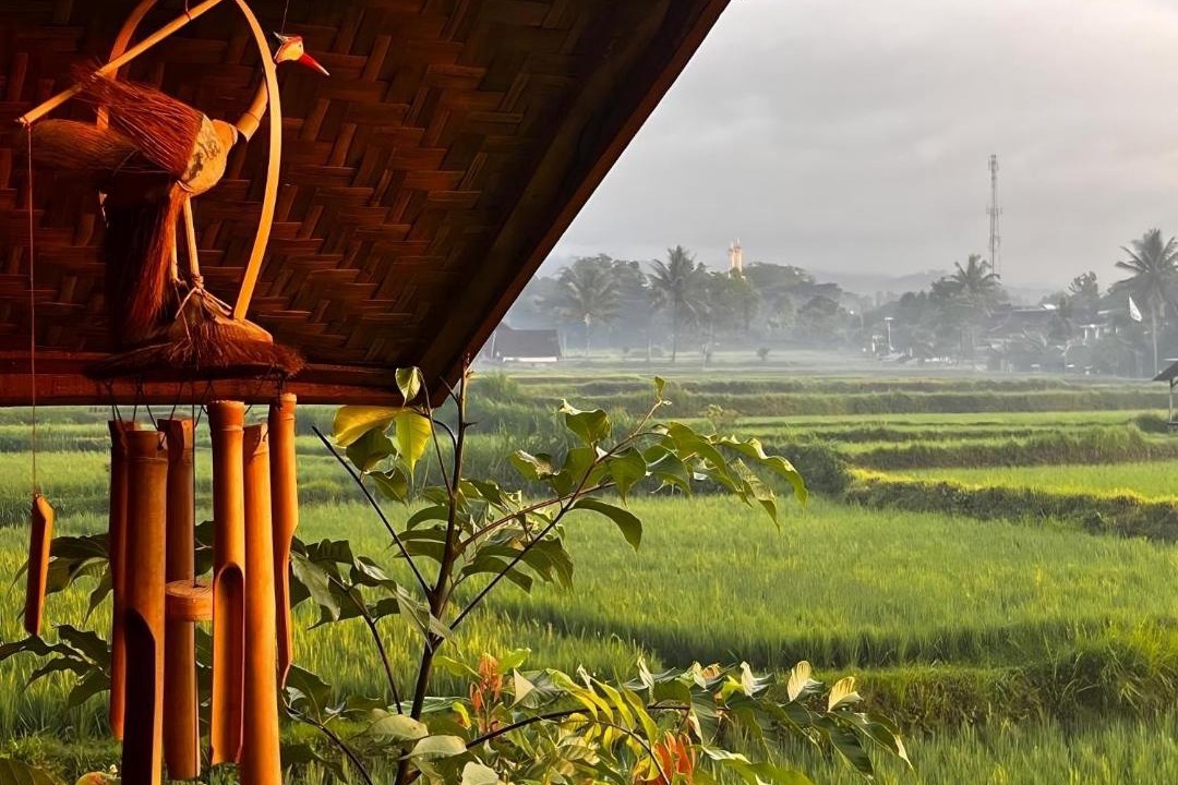 Photo of Others in Tetebatu
