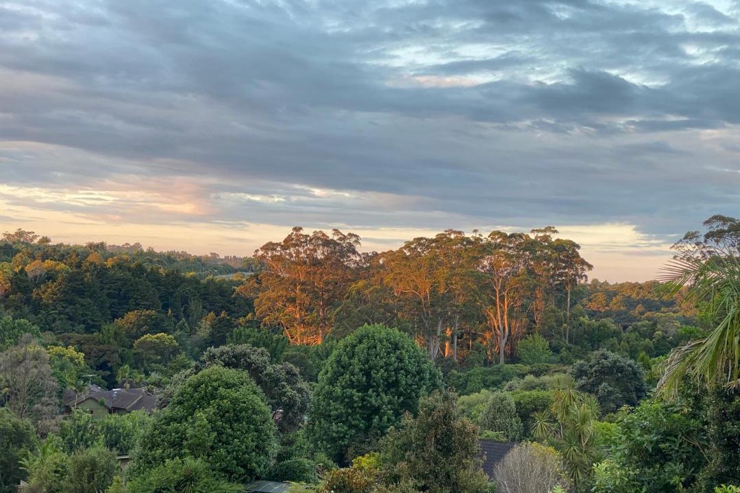 Photo of Others in Kerikeri