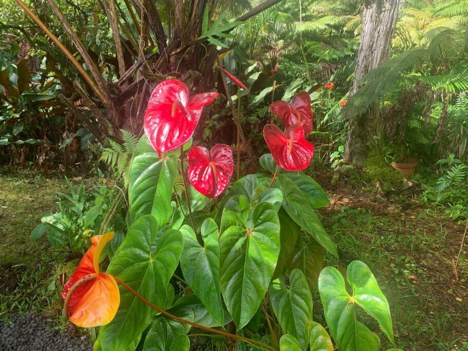 Photo of Others in Mountain View