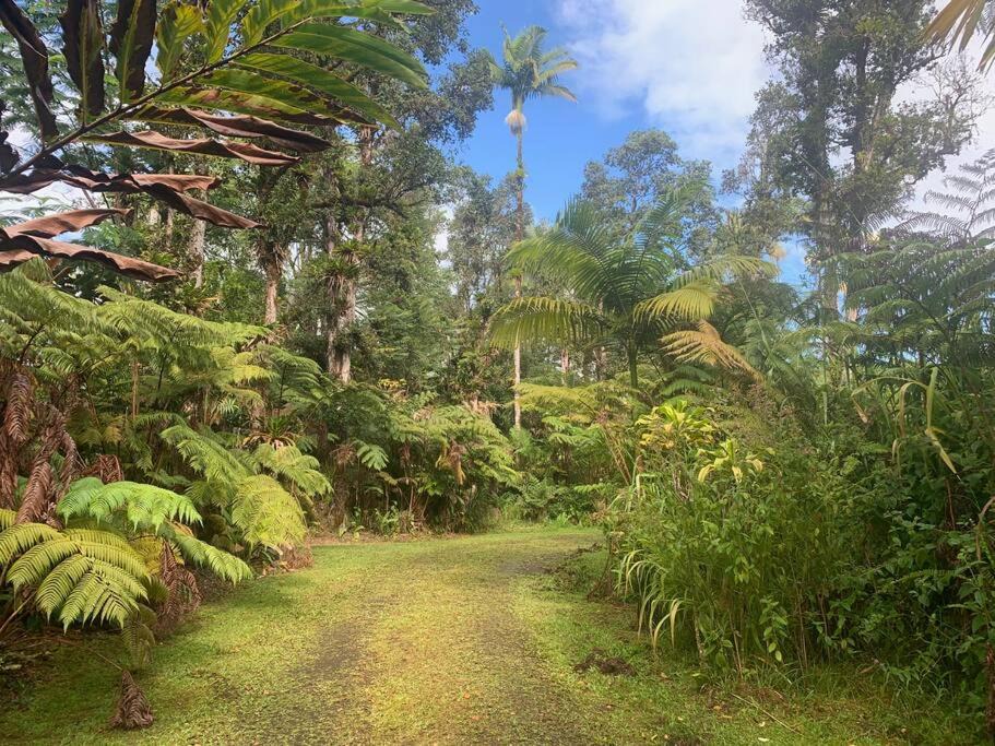 Photo of Others in Mountain View