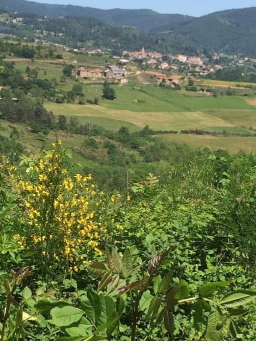 Photo of Others in Bozas