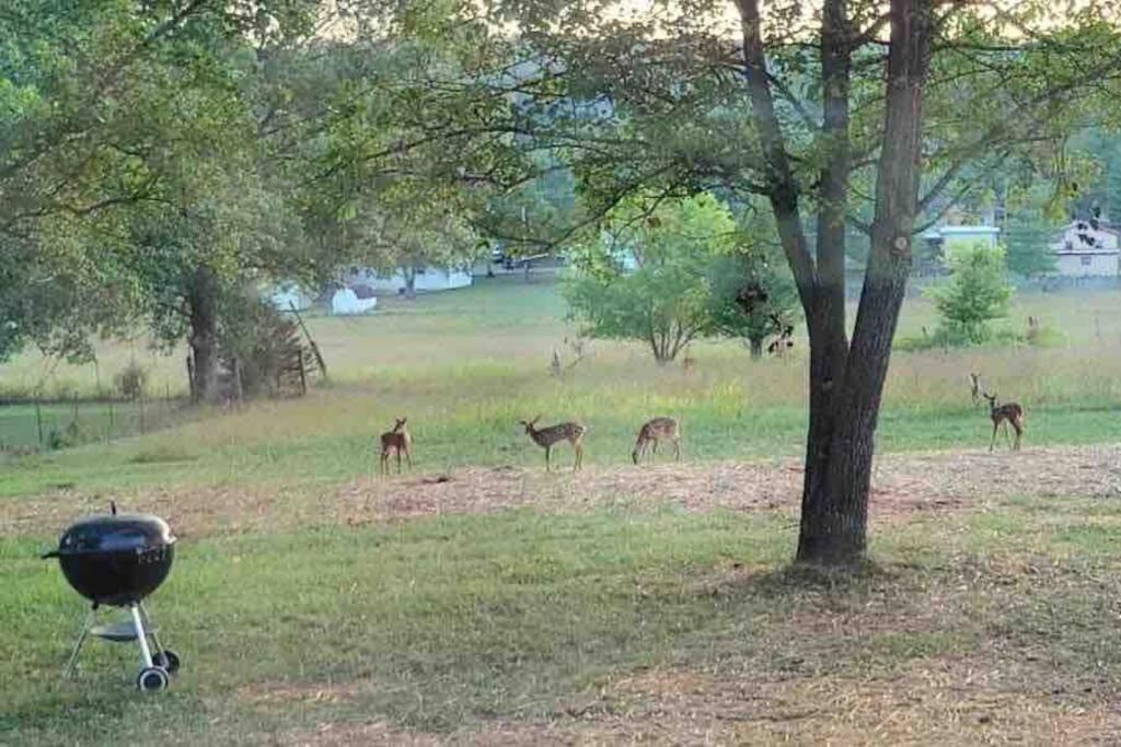 Photo of Others in Piedmont