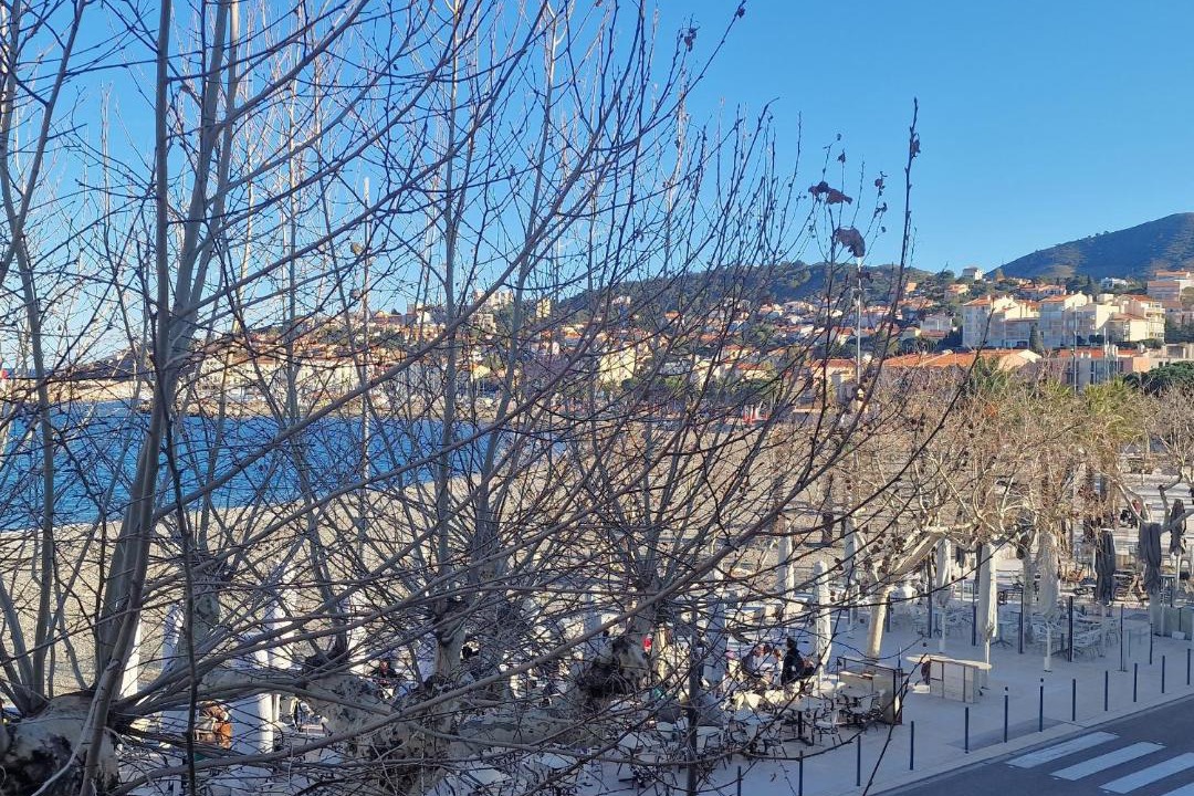 Photo of Others in Banyuls-sur-Mer