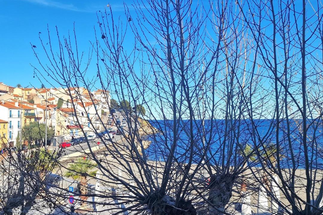 Photo of Others in Banyuls-sur-Mer