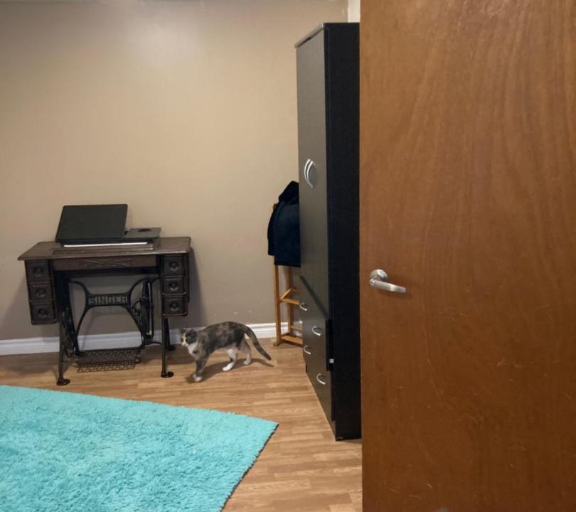 Photo of Others in Edmundston