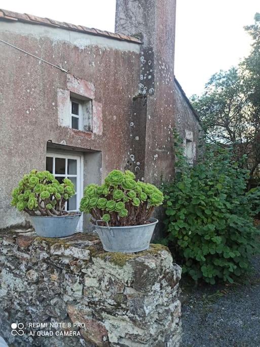 Photo of Others in Corcoue-sur-Logne