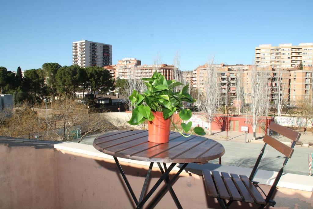 Photo of Others in Igualada