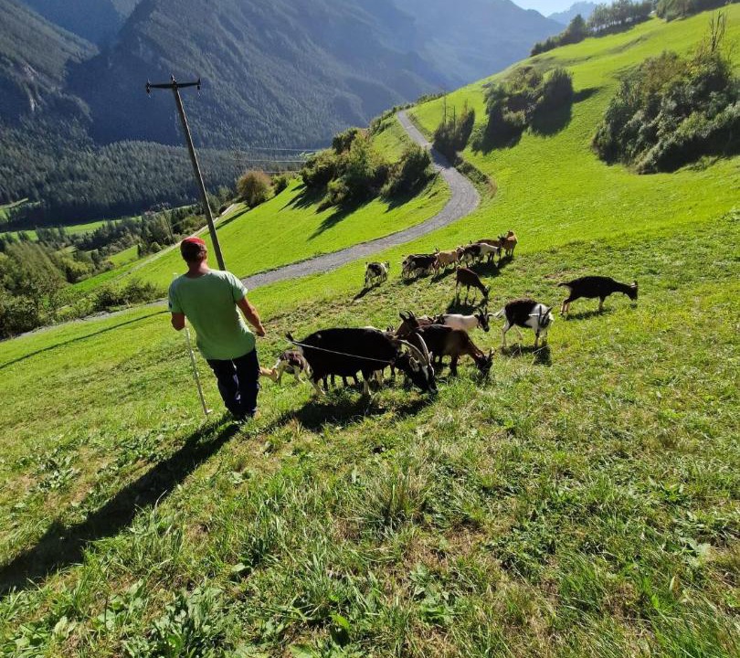 Photo of Others in Alvaneu