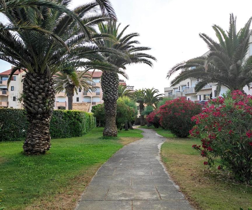 Photo of Others in Saint-Cyprien Plage