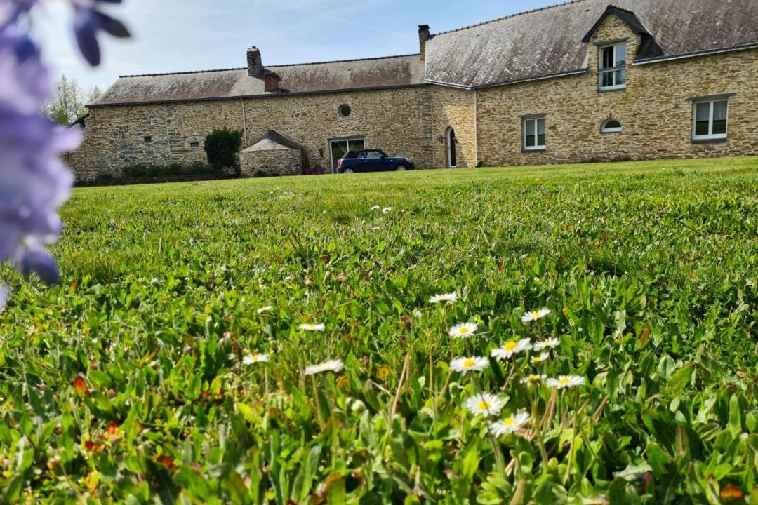 Photo of Others in Chateaubriant