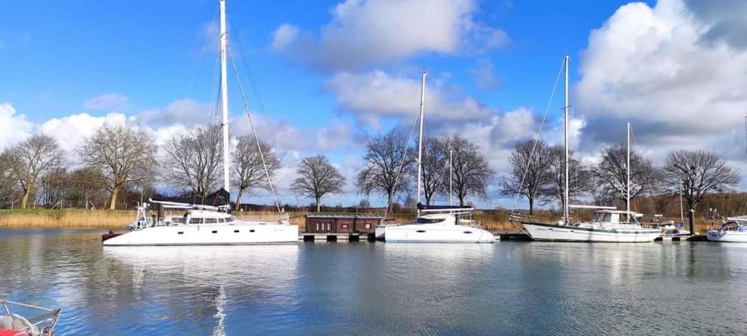 Photo of Others in Arrest