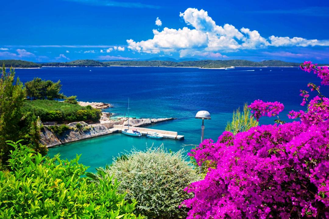 Photo of Others in Hvar